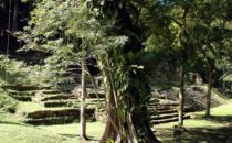 Plaza der Mayastätte Yaxchilán in Chiapas, Mexiko