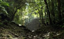 Weg zur Plaza von Yaxchilán in Chiapas, Mexiko