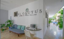 Hotel Boutique El Cactus, Santa Marta, Kolumbien