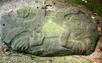Petroglyph in Guayabo, Costa Rica