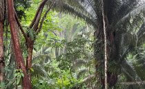 Lubaantun, Belize