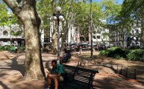 Plaza de la Constitución (Plaza Matríz), Montevideo, Uruguay