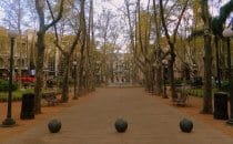 Plaza de la Constitución (Plaza Matríz), Montevideo, Uruguay