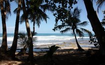 Cahuita Strand, Costa Rica