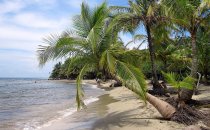 Playa Manzanillo, Costa Rica
